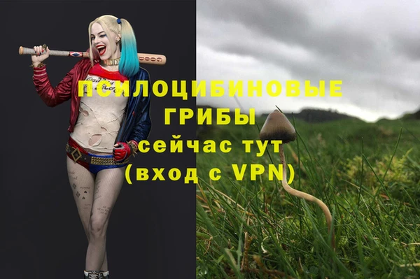 твердый Покровск